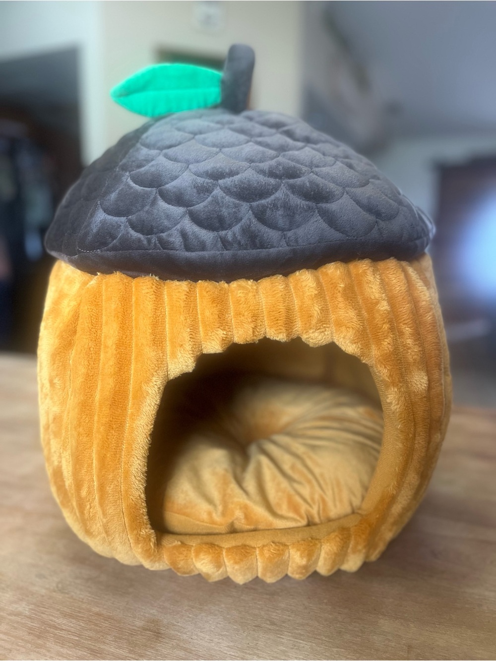 Plush Acorn-Style Small Pet Bed in Brown, Black and Green